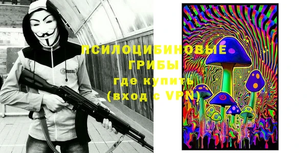 соль ск Корсаков