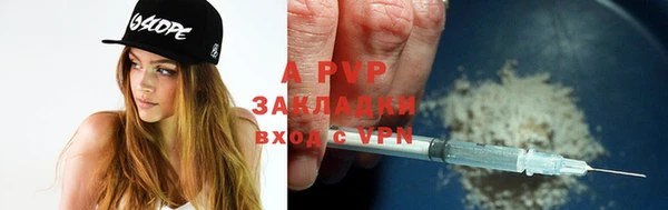 прущие грибы Красноперекопск