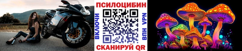 Купить где  Невельск  Псилоцибиновые грибы мухоморы 
